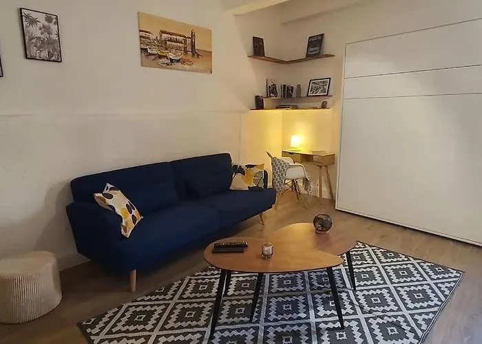 T2 Avec Clim Et Wifi, A 50 M De La Collioure
