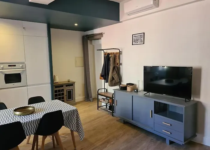 Apartment T2 Avec Clim Et Wifi, A 50 M De La Collioure